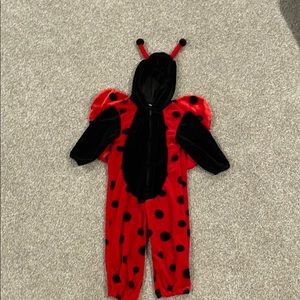 Ladybug Halloween Costume